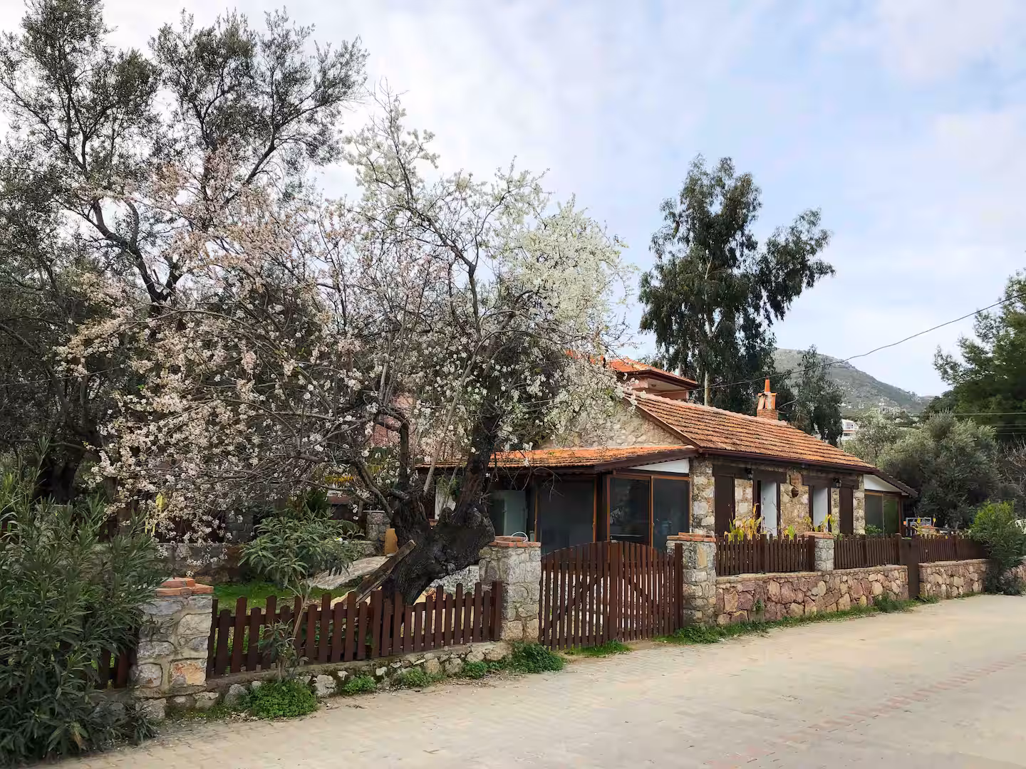 Selimiye Taş Ev — zeytin ağaçları arasında taş köy evi