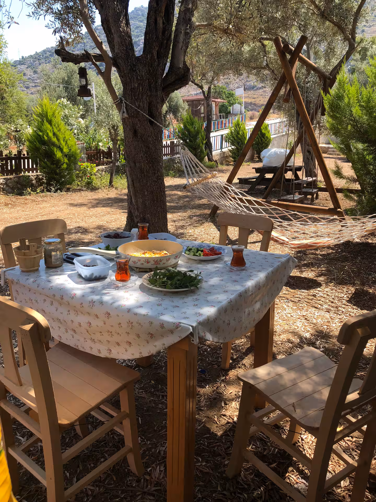 Zeytin ağacının altında köy kahvaltısı