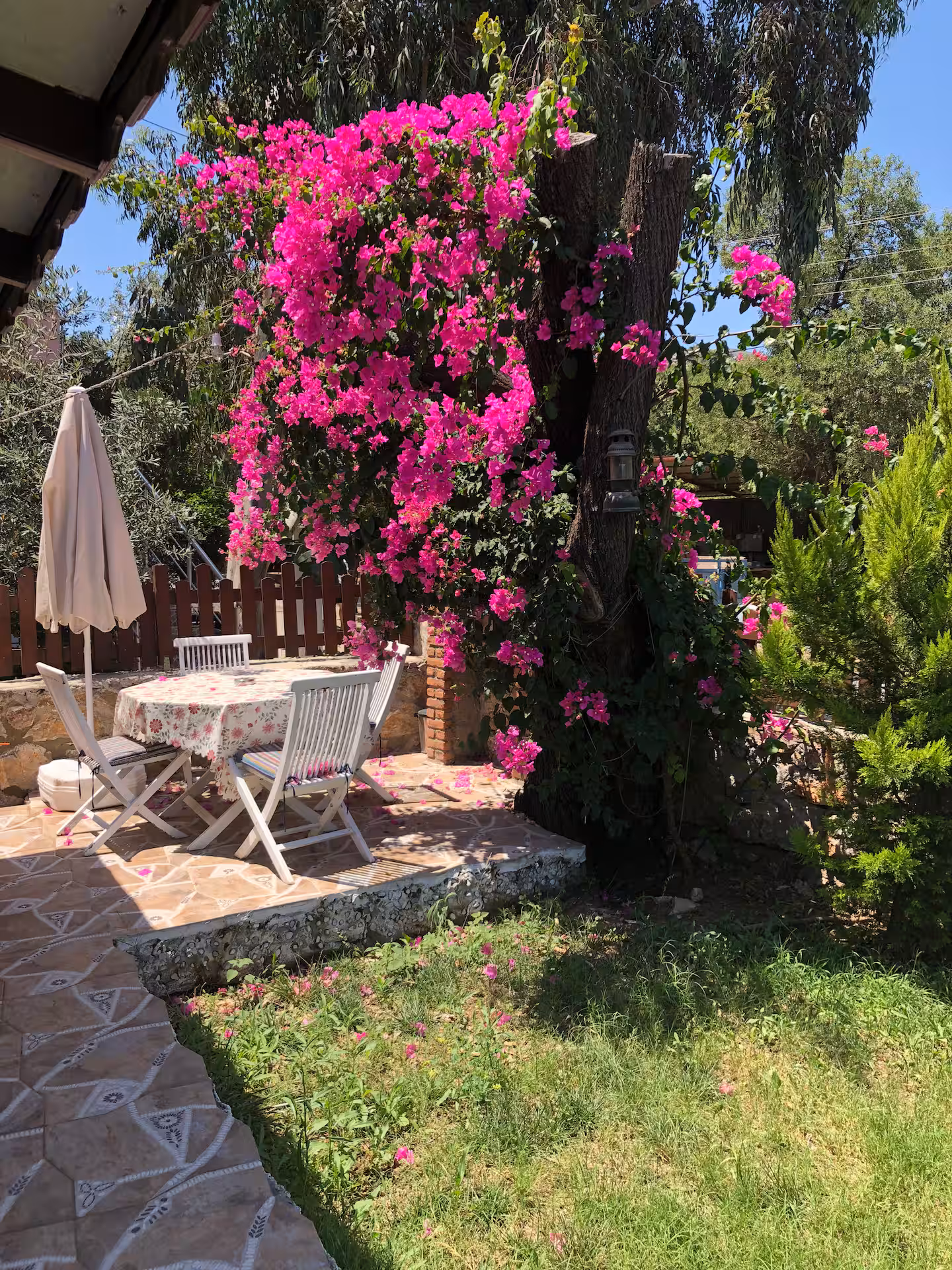 Begonvilli teras ve şezlonglar
